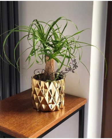 DONICZKA OSŁONKA CERAMICZNA NOWOCZESNA ZŁOTA