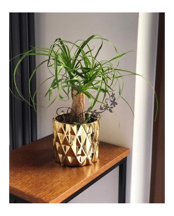 DONICZKA OSŁONKA CERAMICZNA NOWOCZESNA ZŁOTA