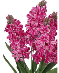 Hiacynty w bukiecie sztuczne kwiaty jak żywe 49cm