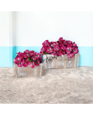 DONICZKA OSŁONKA DREWNIANA KORYTKO 2SZT