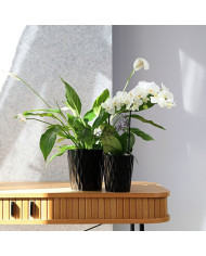 DONICZKA OSŁONKA CERAMICZNA CZARNA 16 CM