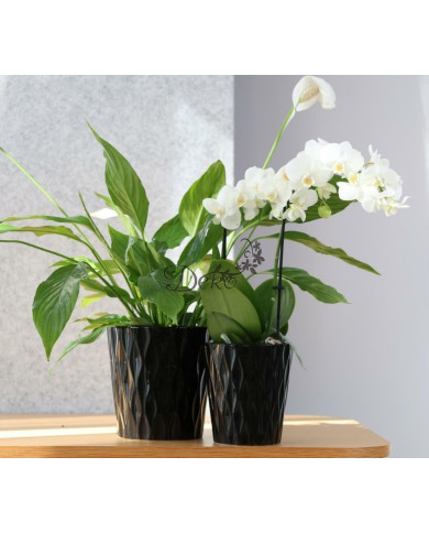 DONICZKA OSŁONKA CERAMICZNA CZARNA 16 CM