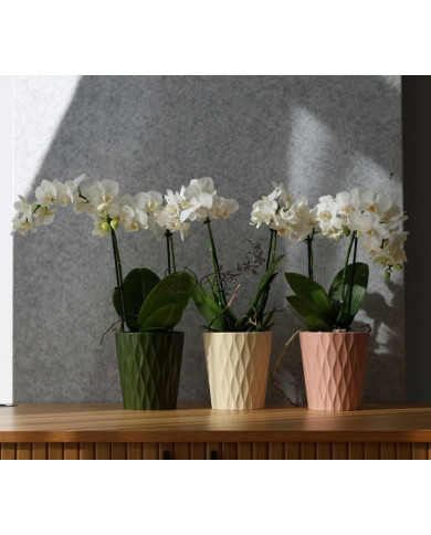 DONICZKA OSŁONKA CERAMICZNA OLIWKOWA 16 CM