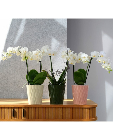 DONICZKA OSŁONKA CERAMICZNA OLIWKOWA 16 CM