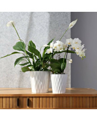 DONICZKA OSŁONKA CERAMICZNA BIAŁA 16 CM