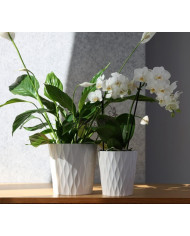 DONICZKA OSŁONKA CERAMICZNA BIAŁA 16 CM