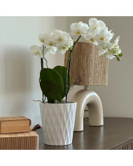 DONICZKA OSŁONKA CERAMICZNA BIAŁA 16 CM