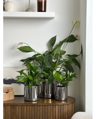 Doniczka ceramiczna osłonka srebrna z podstawką okrągła