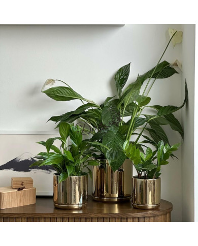 Doniczka ceramiczna osłonka złota z podstawką okrągła