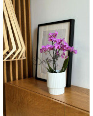 Doniczka ceramiczna osłonka biała do storczyka