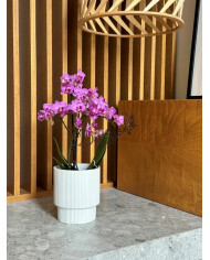 Doniczka ceramiczna osłonka biała do storczyka