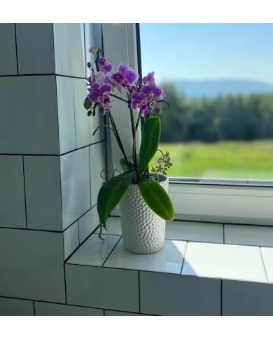 Doniczka ceramiczna osłonka biała do storczyka