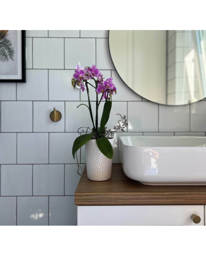 Doniczka ceramiczna osłonka biała do storczyka