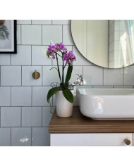 Doniczka ceramiczna osłonka biała do storczyka