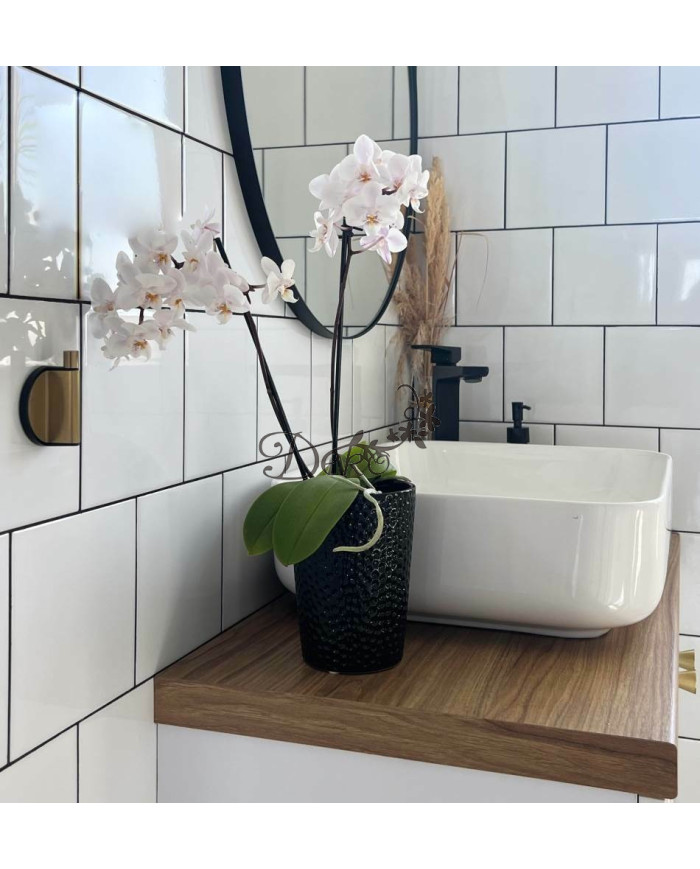 Doniczka ceramiczna osłonka czarna do storczyka