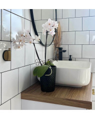 Doniczka ceramiczna osłonka czarna do storczyka