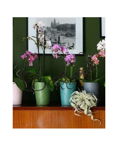 Doniczka ceramiczna osłonka oliwkowa do storczyka