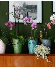 Doniczka ceramiczna osłonka oliwkowa do storczyka