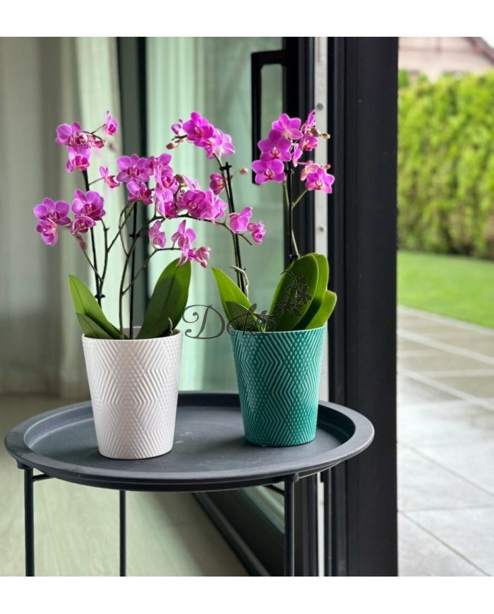 Doniczka ceramiczna osłonka oliwkowa do storczyka