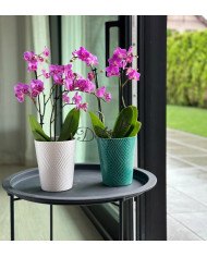 Doniczka ceramiczna osłonka oliwkowa do storczyka