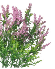 SZTUCZNE KWIATY ROŚLINY BUKIET GAŁĄZKI WRZOS JAK ŻYWY