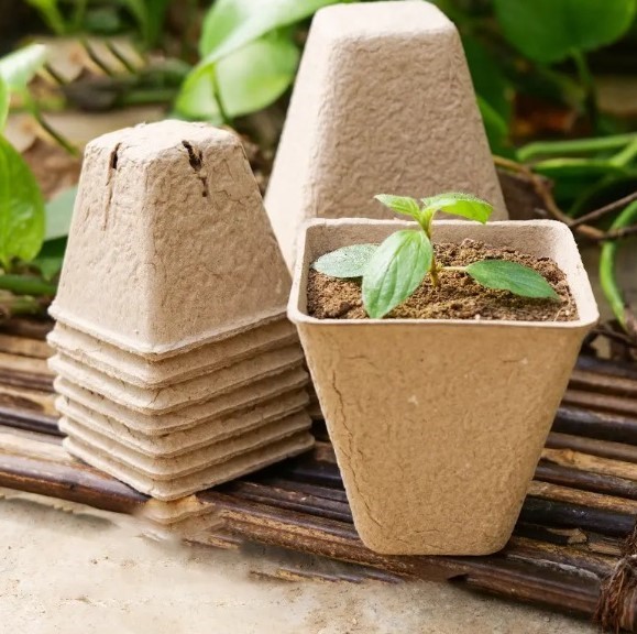 DONICZKI TORFOWE NA ROZSADY SADZONKI 8CM 20SZT