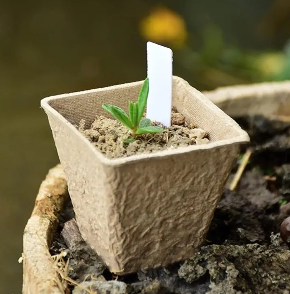 DONICZKI TORFOWE NA ROZSADY SADZONKI 8CM 20SZT