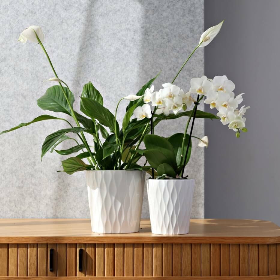 DONICZKA OSŁONKA CERAMICZNA BIAŁA 16 CM