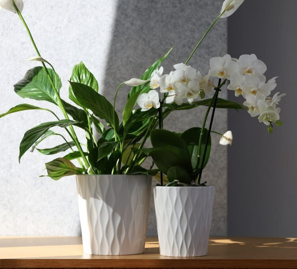 DONICZKA OSŁONKA CERAMICZNA BIAŁA 16 CM